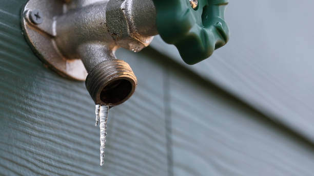 Best Leak Detection Services  in Plummer, ID